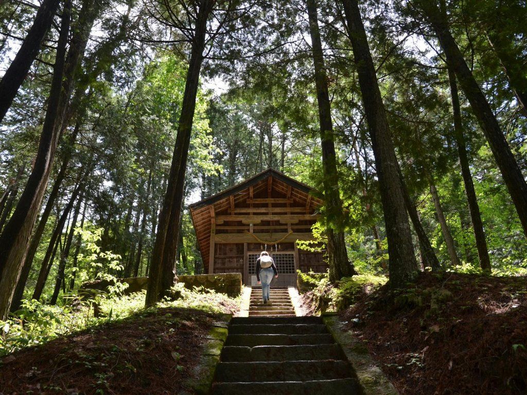Japón Matsumoto - Especial Semana Santa y Floración de Cerezos desde España